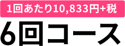 1回あたり10,833円+税 6回コース