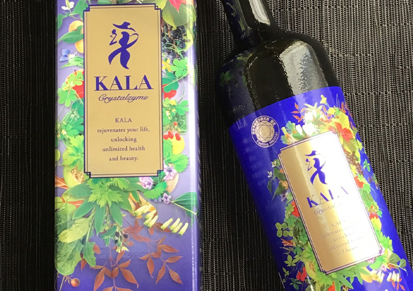 エキスパートファスティングマイスターによるファスティング指導